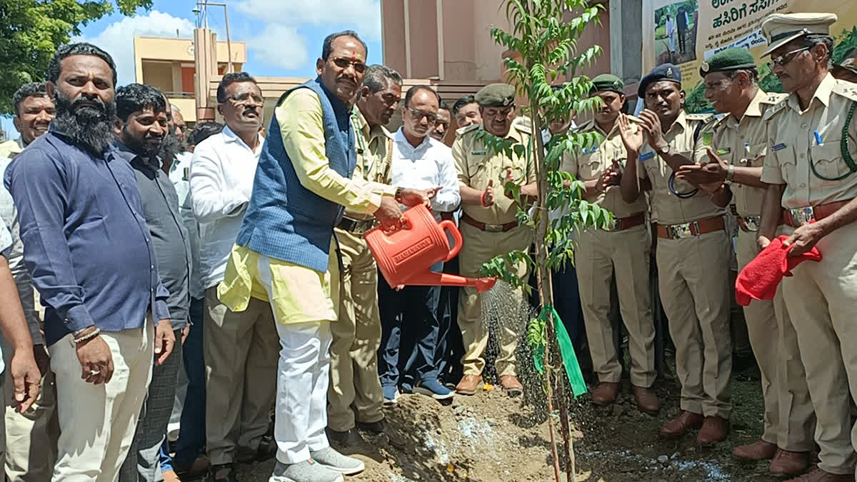 Plantation in Aurad Taluka