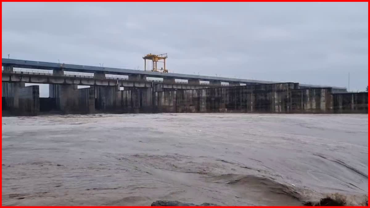 Water level increased in Hathnikund barrage