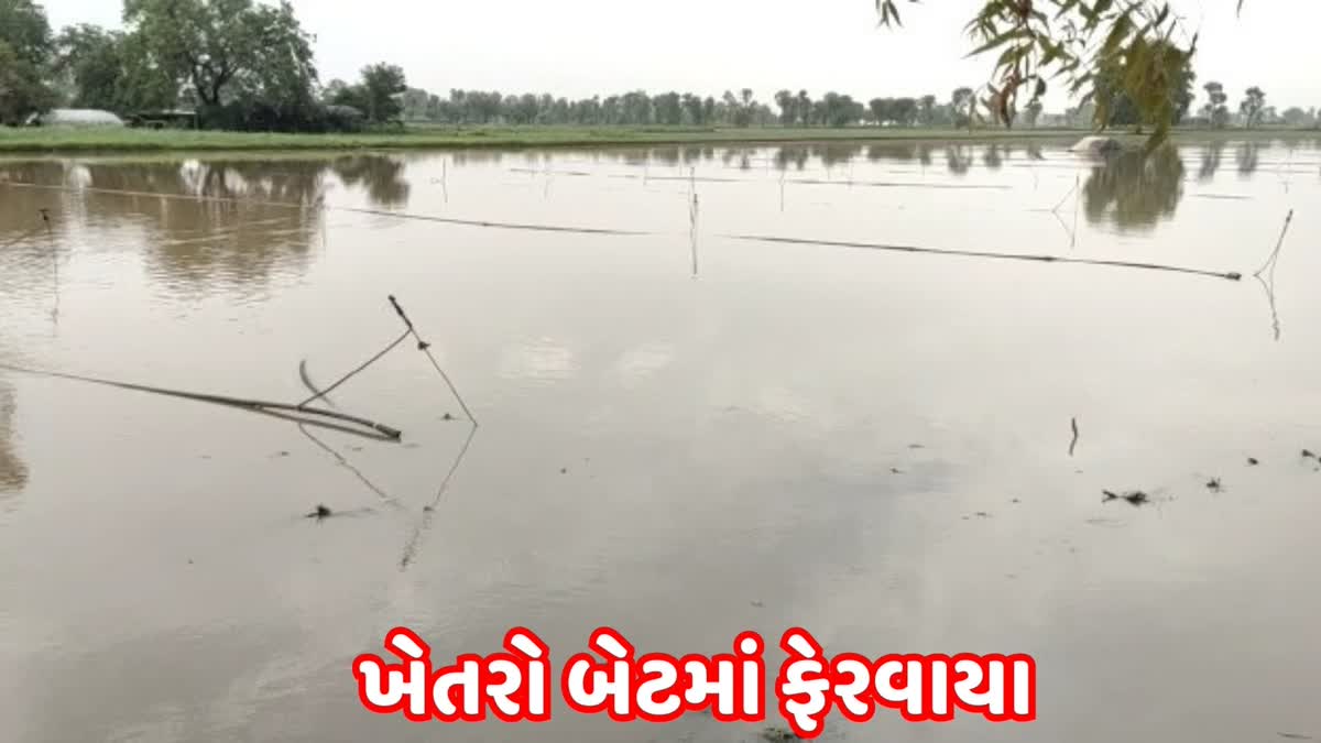 banaskantha-rain-many-fields-were-turned-into-bats-due-to-rain-and-snow-causing-loss-of-lakhs-of-rupees-to-farmers