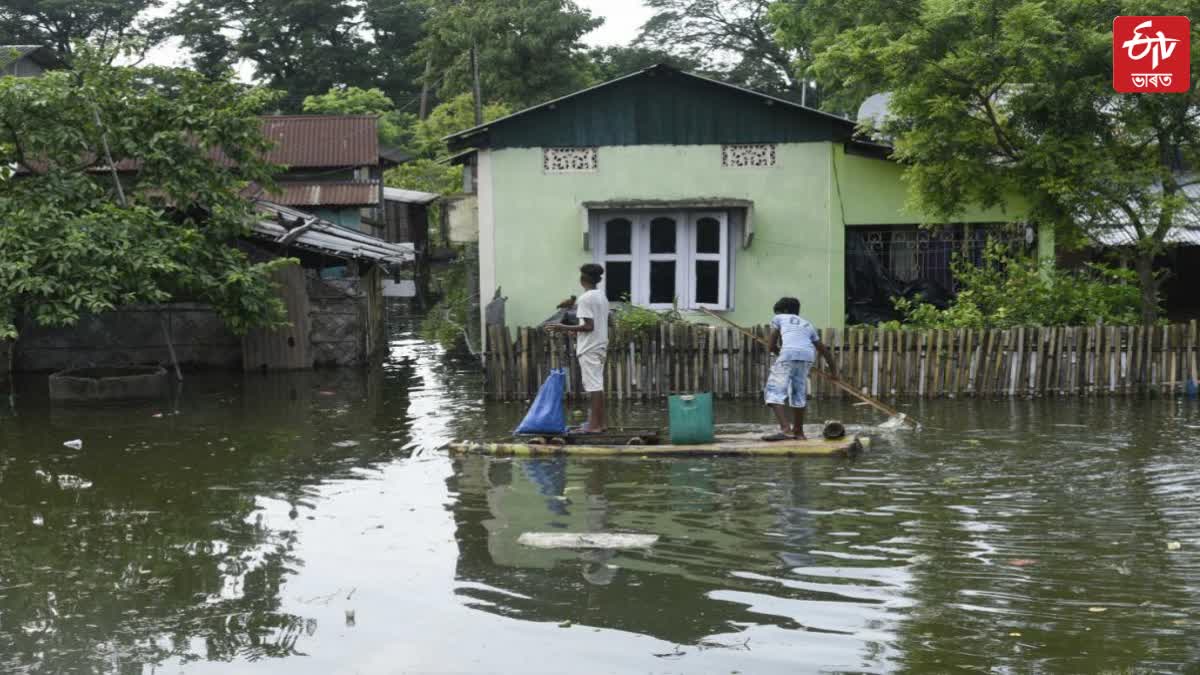 Assam Flood Report