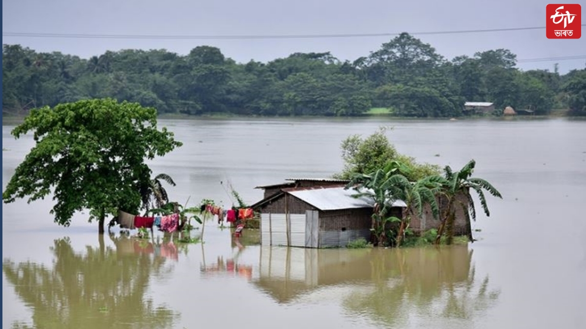 Assam Flood Report