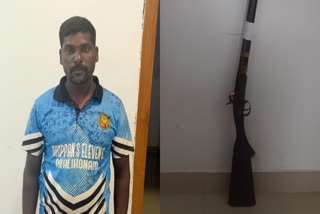 gun and ganja seized in palakkad four arrested  gun and ganja seized in palakkad  gun and ganja seized  gun and ganja seized attappadi  attappadi palakkad  gun  gun seized  ganja seized  cannabis seized  കഞ്ചാവ്  കഞ്ചാവ് കേസ്  കഞ്ചാവ് പിടിയിൽ  കഞ്ചാവും തോക്കുമായി നാല് പേർ പിടിയിൽ  അട്ടപ്പാടി  അട്ടപ്പാടിയിൽ തോക്ക് പിടികൂടി  തോക്ക് പിടികൂടി