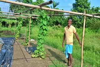 Agriculture revolution in Dhemaji