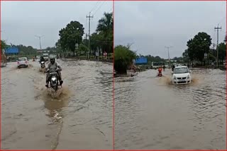 rain in chandigarh