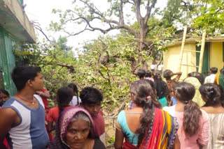 Tree Fell On Villagers In Palamu