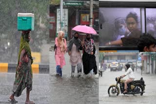 rains in india imd