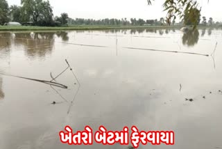 banaskantha-rain-many-fields-were-turned-into-bats-due-to-rain-and-snow-causing-loss-of-lakhs-of-rupees-to-farmers