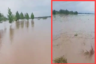 The water level of Sutlej river increased, water reached the village of Ludhiana