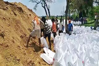 बिहार में बाढ़ को लेकर किया जा रहा कटावरोधी काम