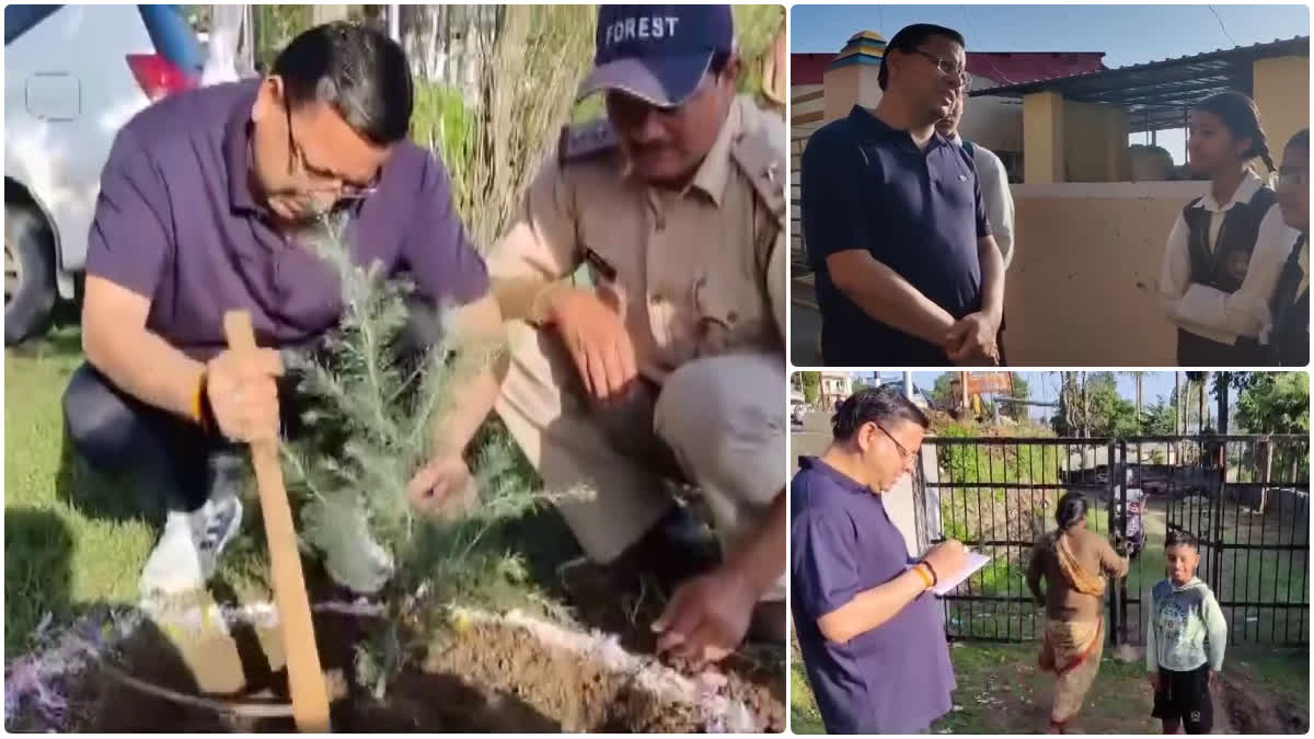 CM Dhami plants trees