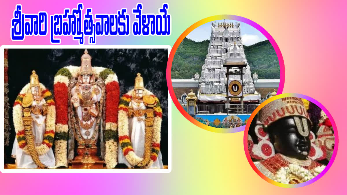 తిరుమల బ్రహ్మోత్సవాల షెడ్యూల్ విడుదల - ఏ రోజు ఏం చేస్తారంటే? - Tirumala ...