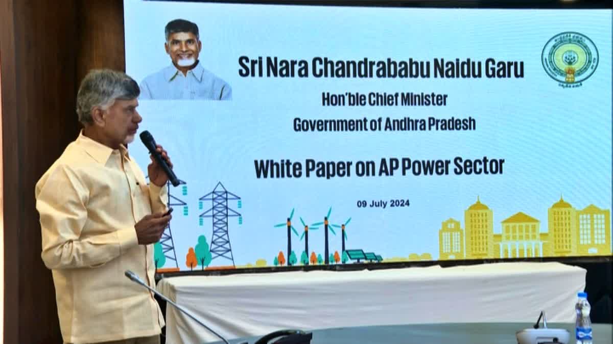 white_paper_on_power_sector