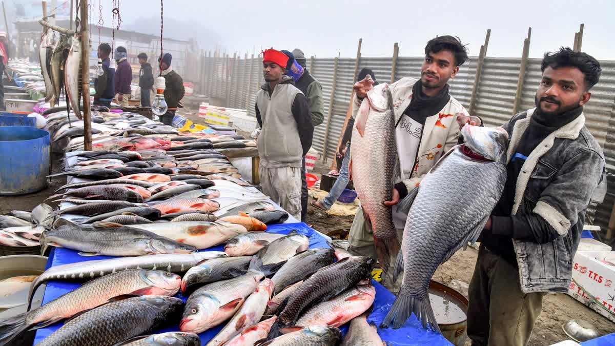 Vendors display fish for sale on occasion of "Uruka" as a part of Magh Bihu (Bhogali Bihu) Festival celebration at Paruwa Daily Market in Tezpur