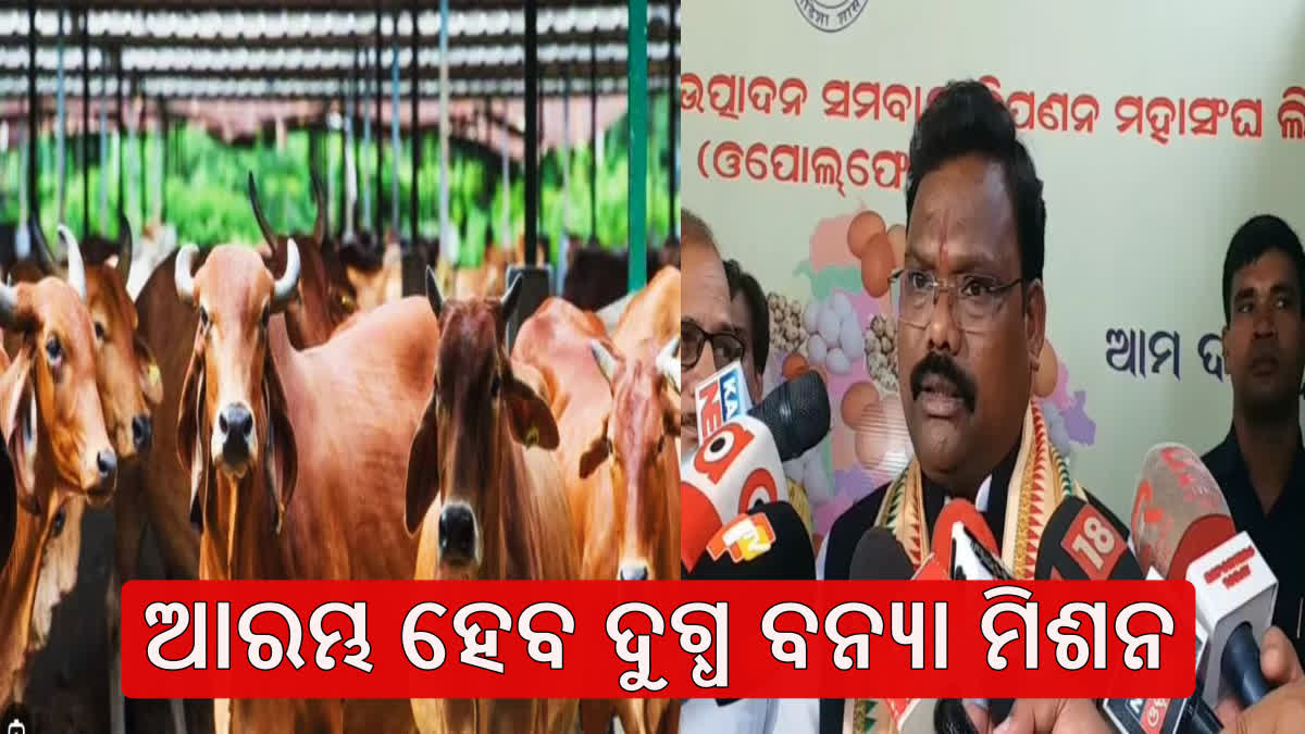 Minister Stress On Increased Milk Production