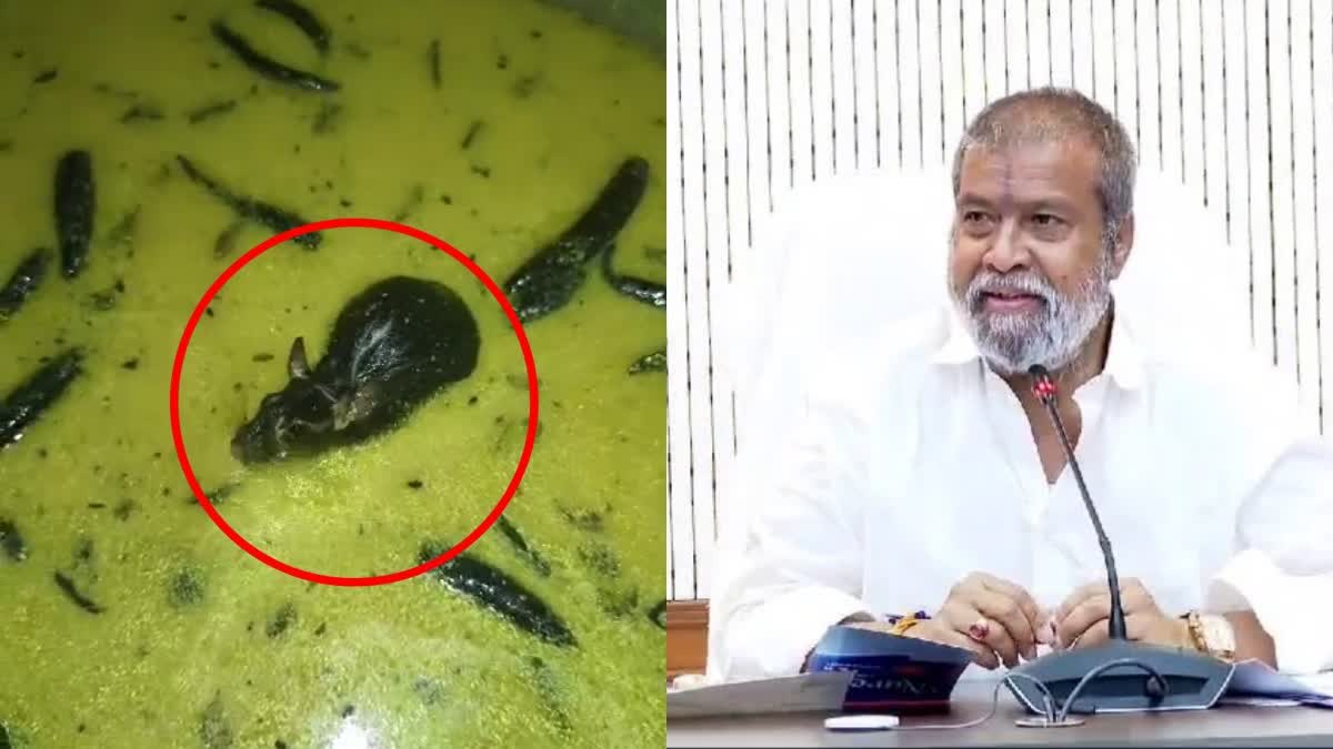 Minister Damodara Serious on Rat in Chutney Incident