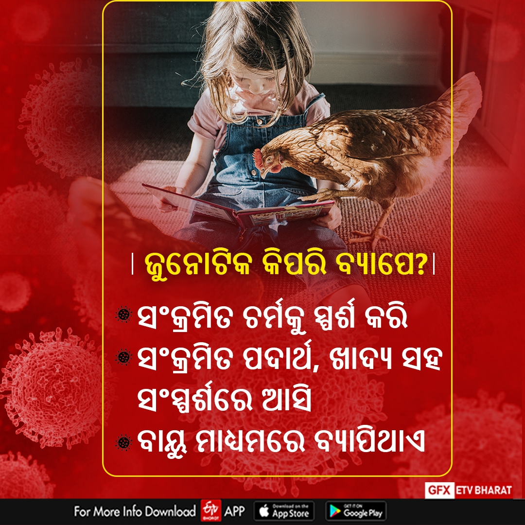 ଜୁନୋଟିକ ରୋଗ କ'ଣ, ଲକ୍ଷଣ ଏବଂ କିପରି କରିବେ ନିରାକରଣ ?