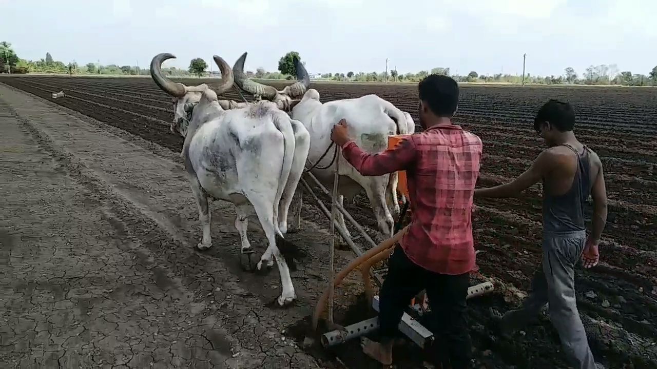 વર્ષ 2016થી પાક વીમાના મુદ્દે કાયદાકીય લડત  (File Photo)