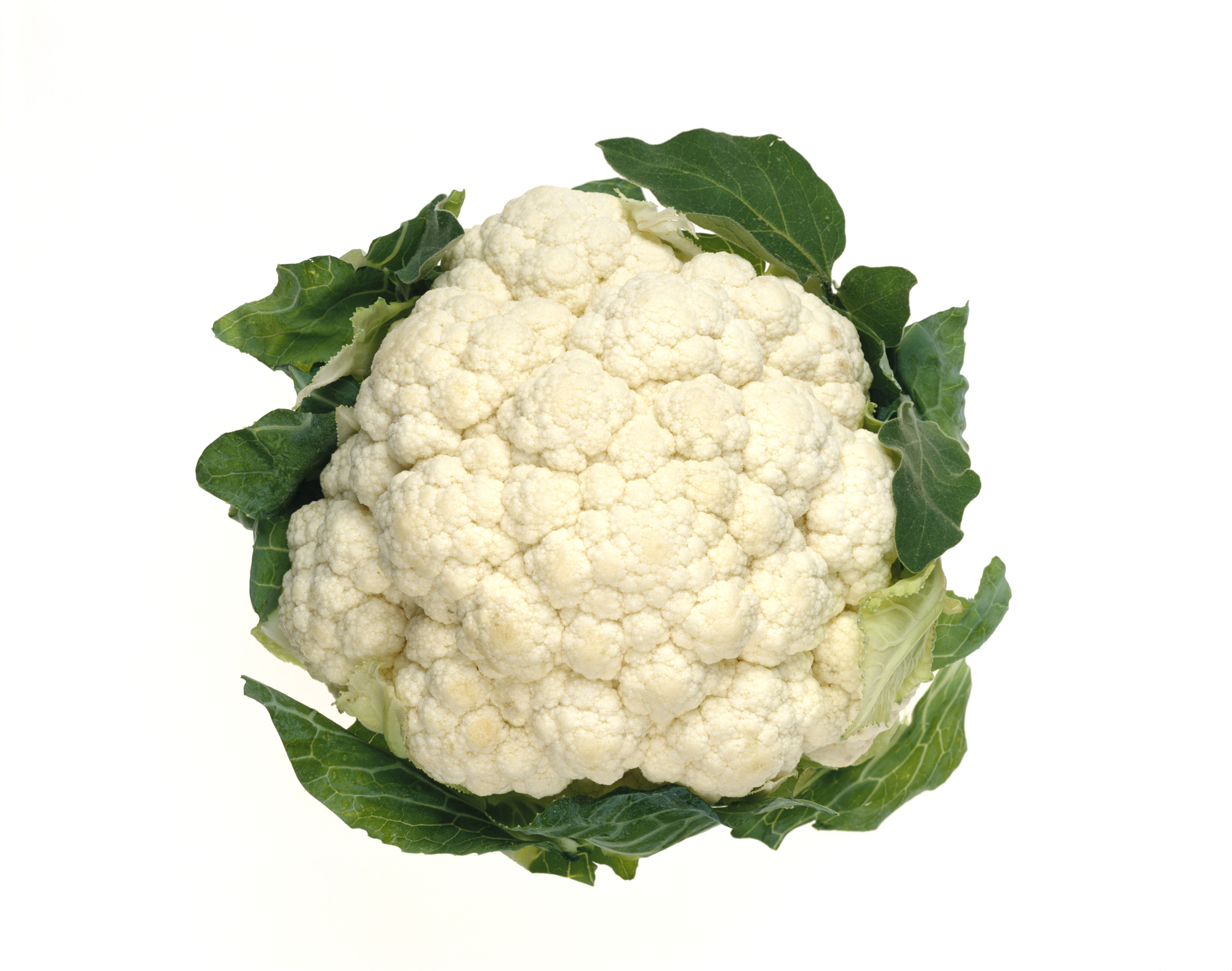 CauliFlower