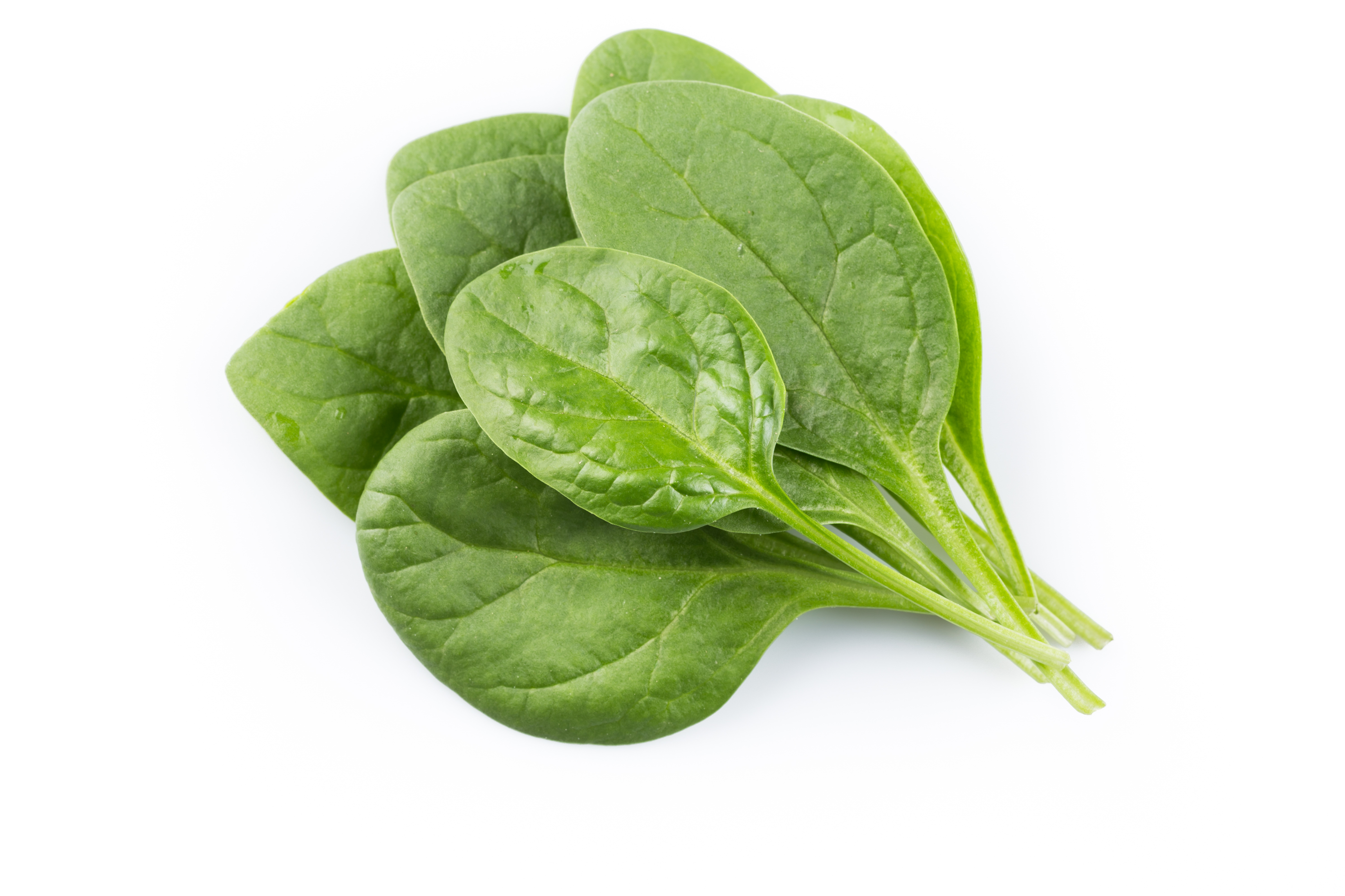 Spinach