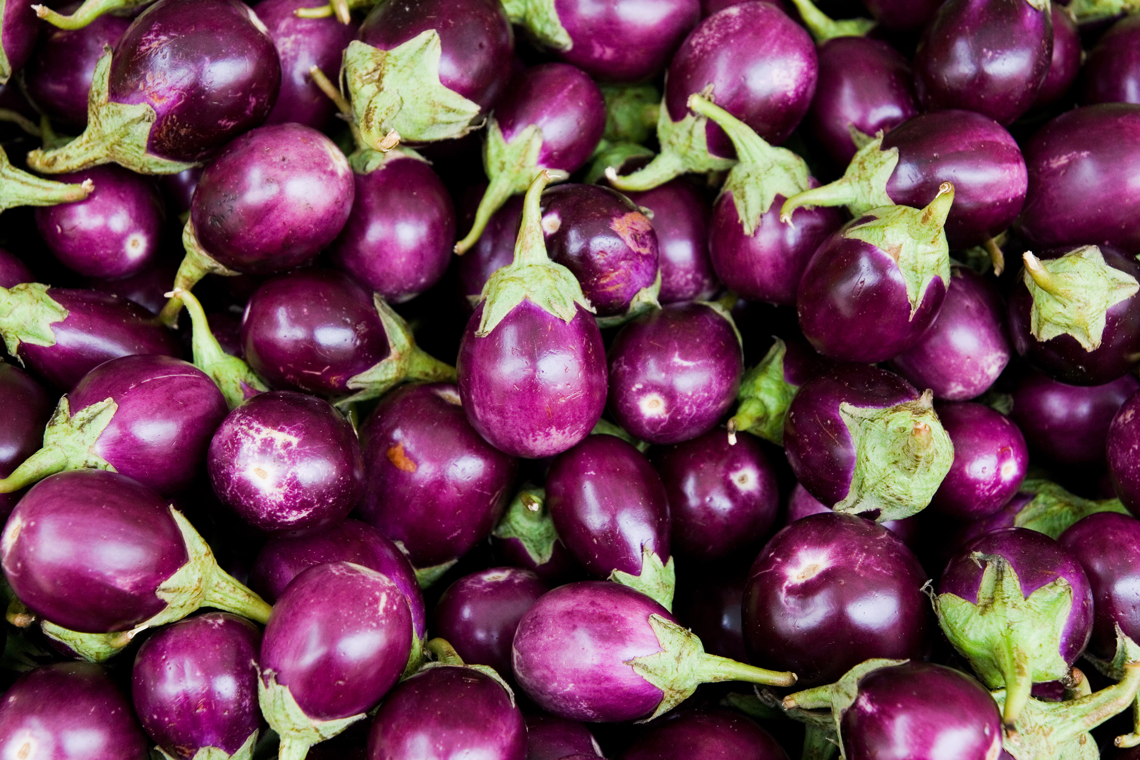 Brinjal