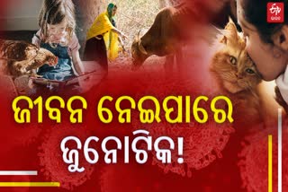 ଜୁନୋଟିକ ରୋଗ କ'ଣ, ଲକ୍ଷଣ ଏବଂ କିପରି କରିବେ ନିରାକରଣ ?