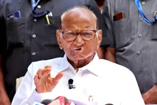 NCP SHARAD PAWAR  NATIONALIST CONGRESS PARTY  മഹാരാഷ്‌ട്ര നിയമസഭാ തെരഞ്ഞെടുപ്പ്  പൊതു സംഭാവന എൻസിപി