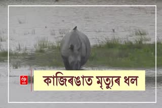 Flood in Kaziranga National Park