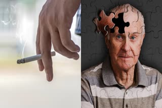 Effects Of Smoking On Cognitive Function