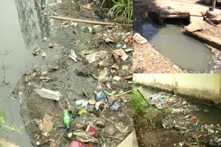 bejawada_people_facing_serious_drainage_problems