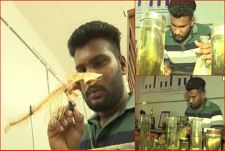 Man Research on Fishes