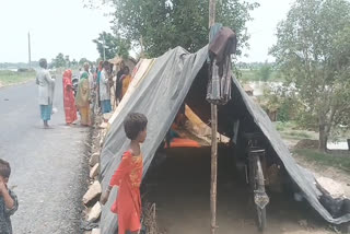 people forced to live in tents