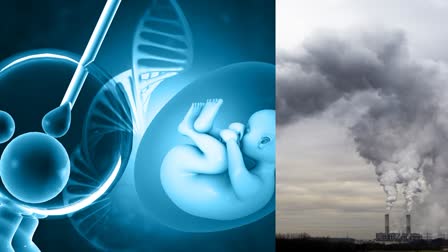 Air Pollution Effect On IVF Treatment