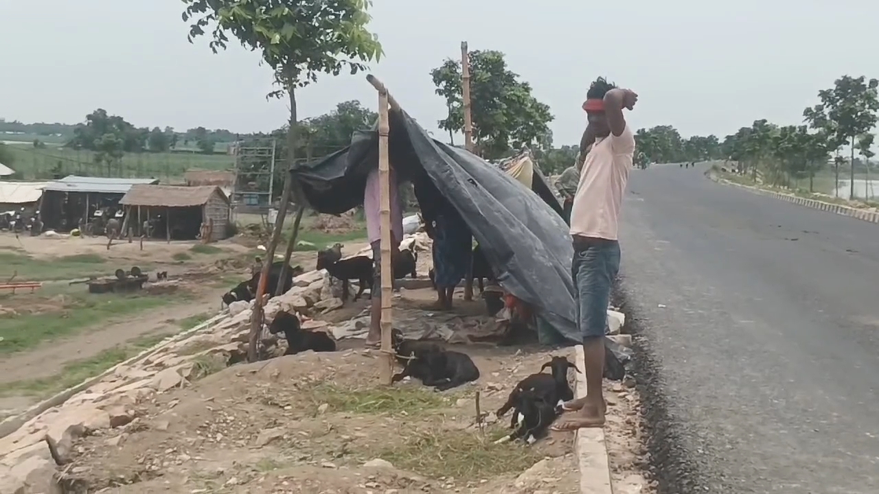 people forced to live in tents