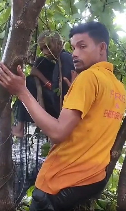 65 YEAR OLD WOMAN RESCUED FROM TREE