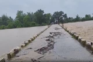 Continuous rains in Gadchiroli district