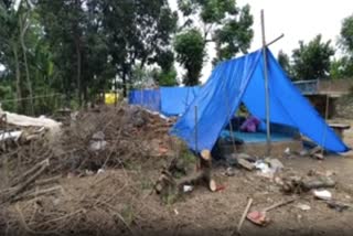 Dhubri Eviction