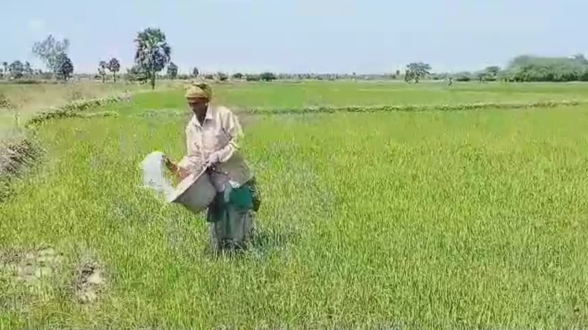 agri land