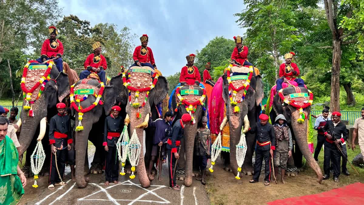 mysuru dasara