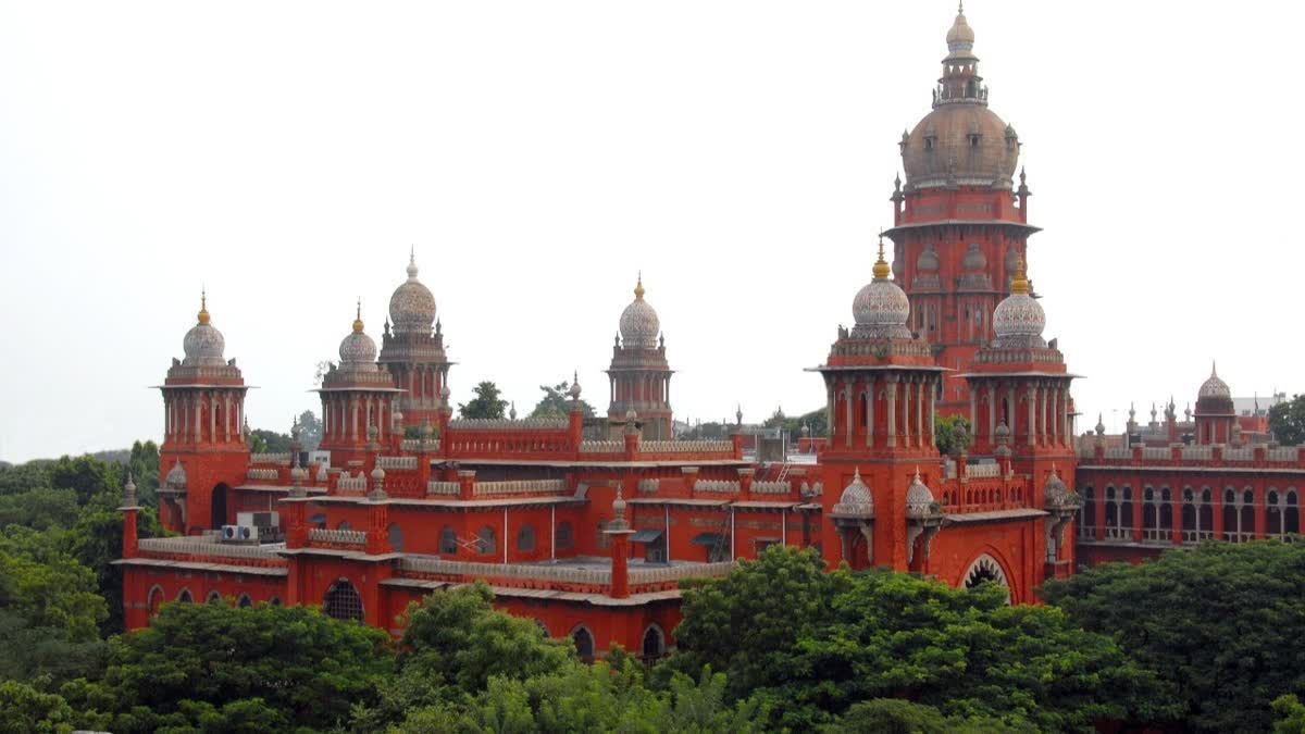 madras high court