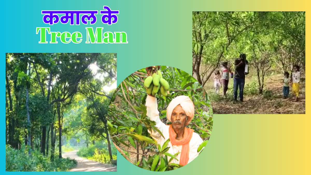 MP tree man bherulal dhakad