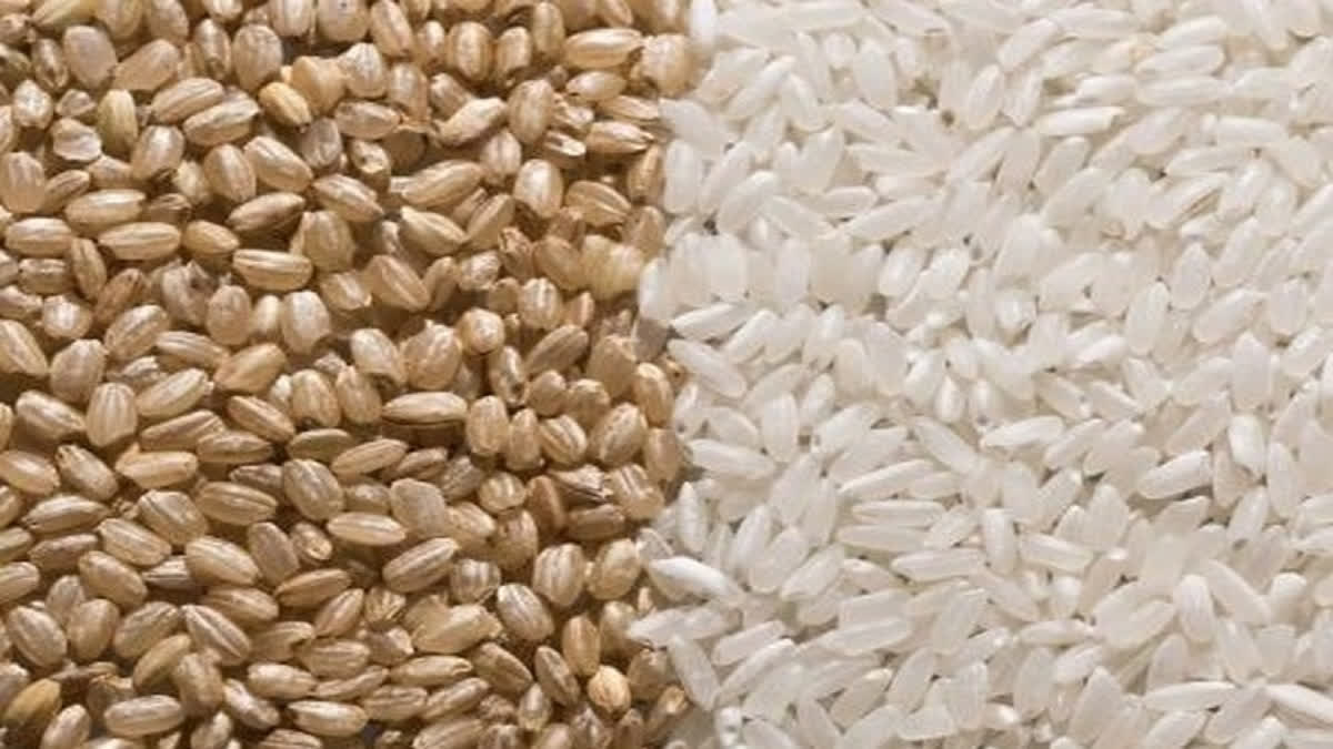 Government to sell more wheat,