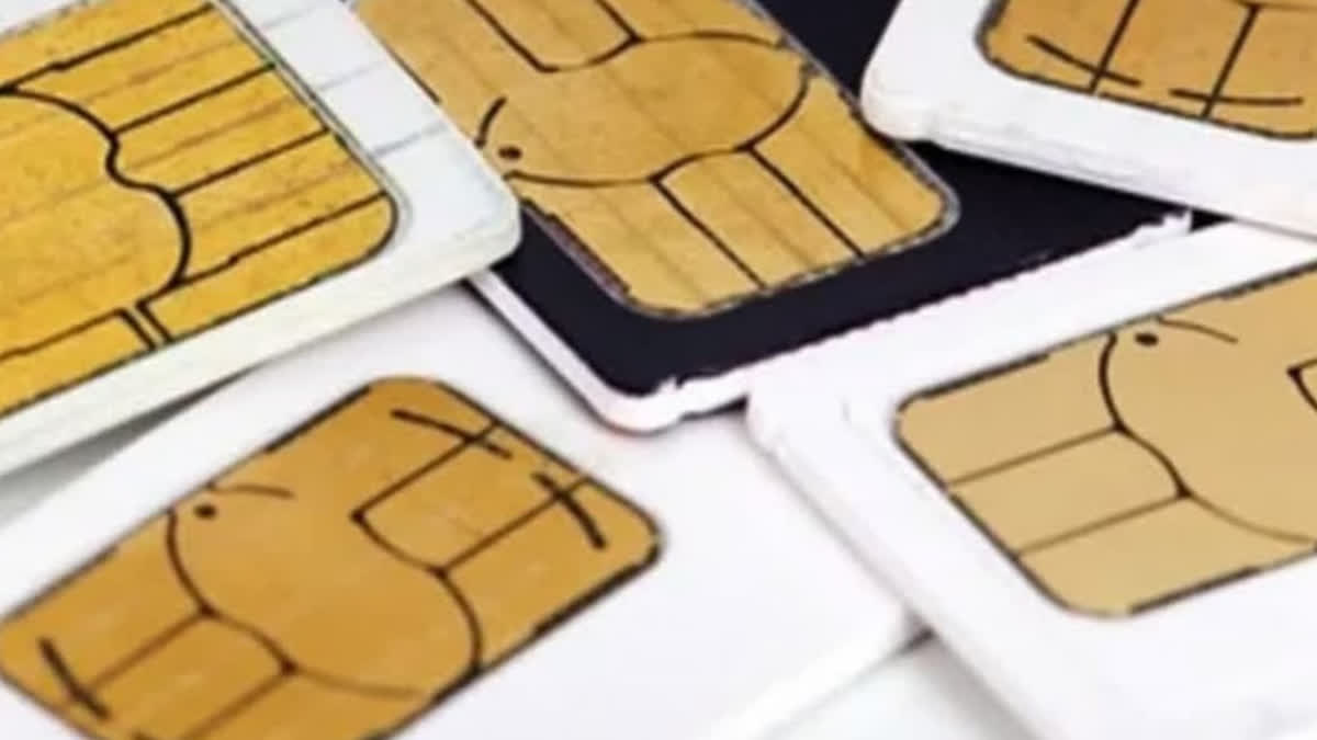658 sim cards issued on single photo exposed