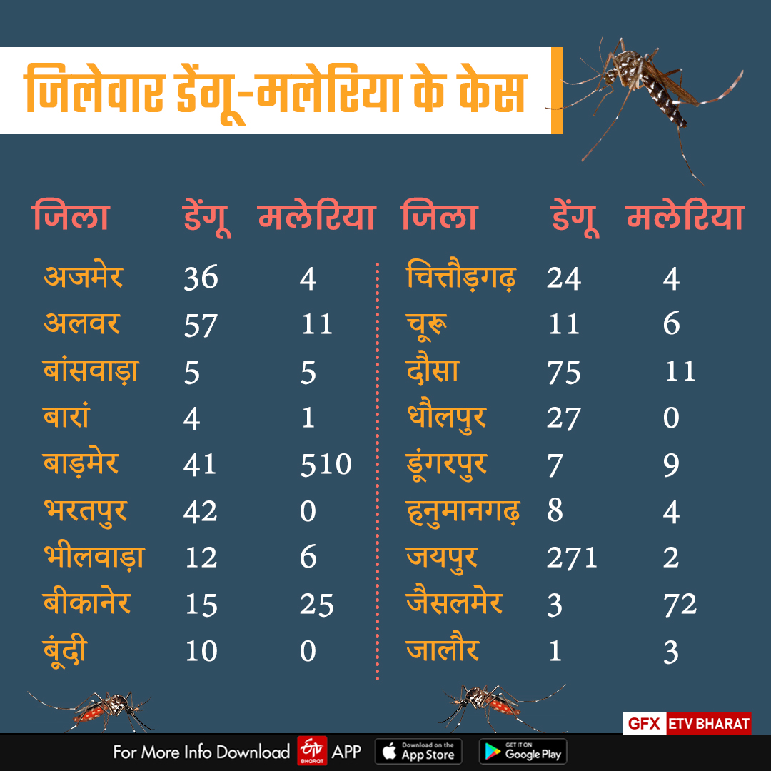 Dengue malaria cases increasing in Rajasthan