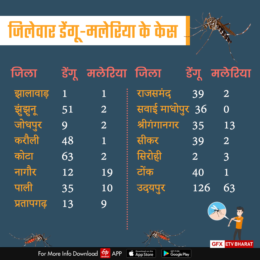 Dengue malaria cases increasing in Rajasthan