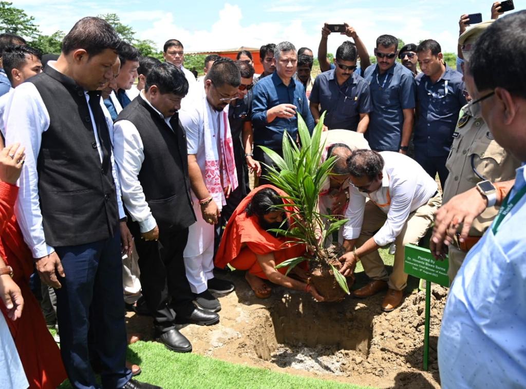 patanjali palm oil plantation