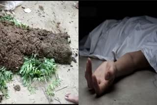 Girl Dead Body Covered With Cow Dung