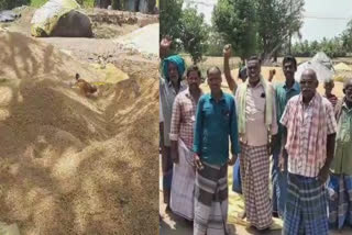 government direct paddy procurement station