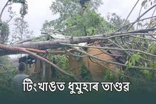 Damaged in storm in Dibrugarh