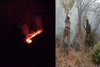 forest-fire-in-tenkasi-forest-thousands-of-herb-trees-were-destroyed