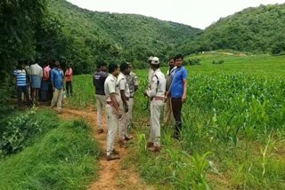 ಚಿರತೆ ದಾಳಿಗೆ ರೈತ ಮಹಿಳೆ ಬಲಿ